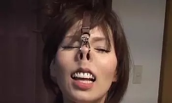 鼻フックされた女って本当に無様で滑稽ですよねｗ